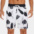 Art | Men's Classic Summer Swim Trunks with Zipper Pockets